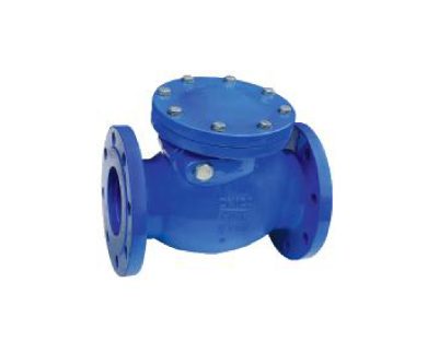 COUNTER WEIGHT CHECK VALVE