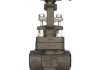 FORGED STEEL GATE VALVES