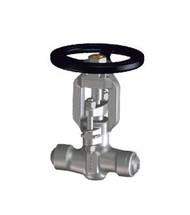 Y - TYPE & T-TYPE GLOBE VALVE